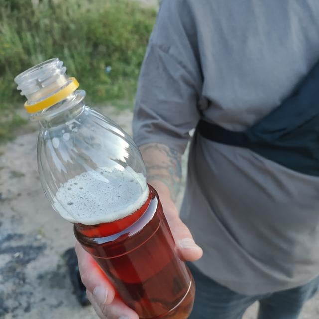 Магистр IPA
