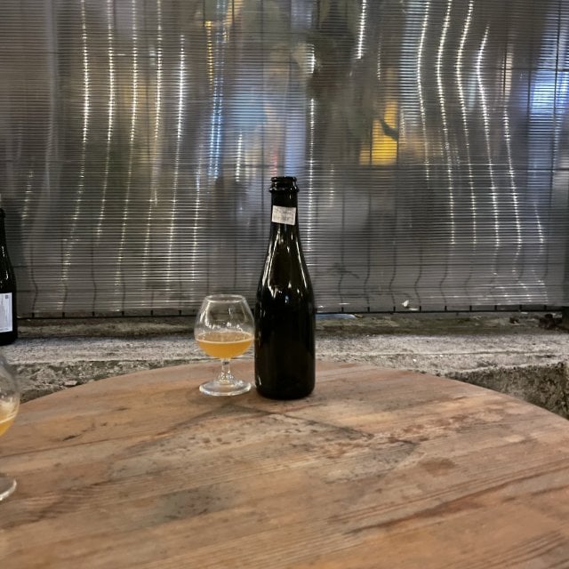 Spontaneous Apricot
