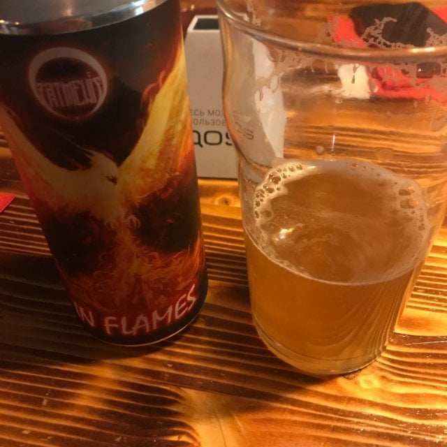 IN FLAMES